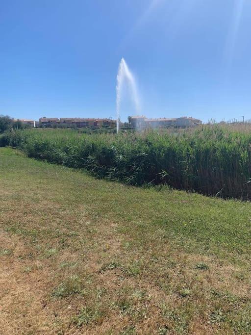 Appartement Le Florid Cap D'Agde, T2 , 4 Pers, 200M Plage, Terrasse Esterno foto